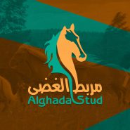 1564055643_alghada-stud