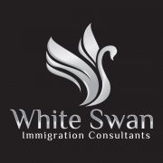 white-swan