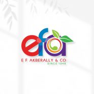 efa-logo-design
