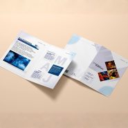 maj-company-profile-design